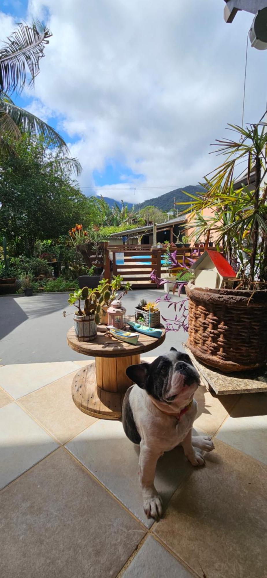 Homestay No Paraiso Da *